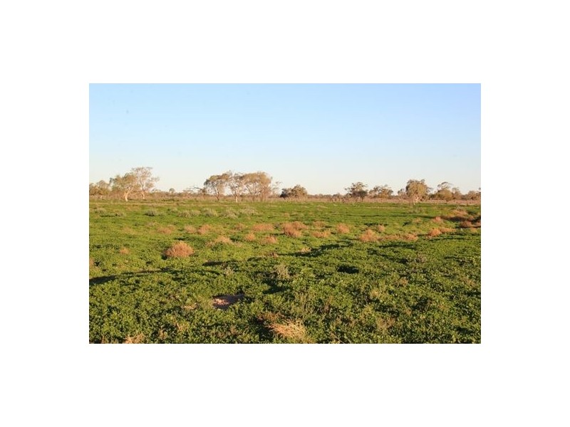 Kia Ora, Walgett NSW 2832