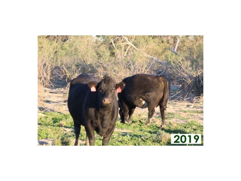 Kia Ora, Walgett NSW 2832