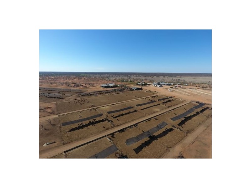 Kia Ora, Walgett NSW 2832