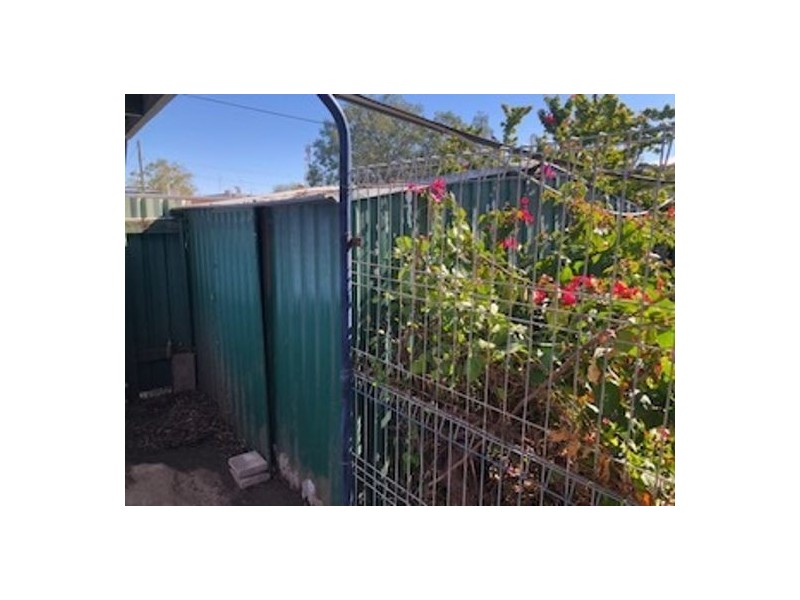 39 Harlequin Street, Lightning Ridge NSW 2834