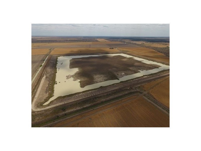 Crossdale, Walgett NSW 2832