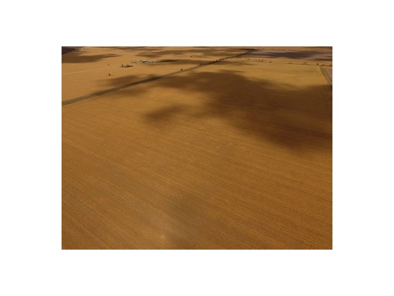 Crossdale, Walgett NSW 2832