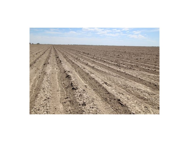 Crossdale, Walgett NSW 2832