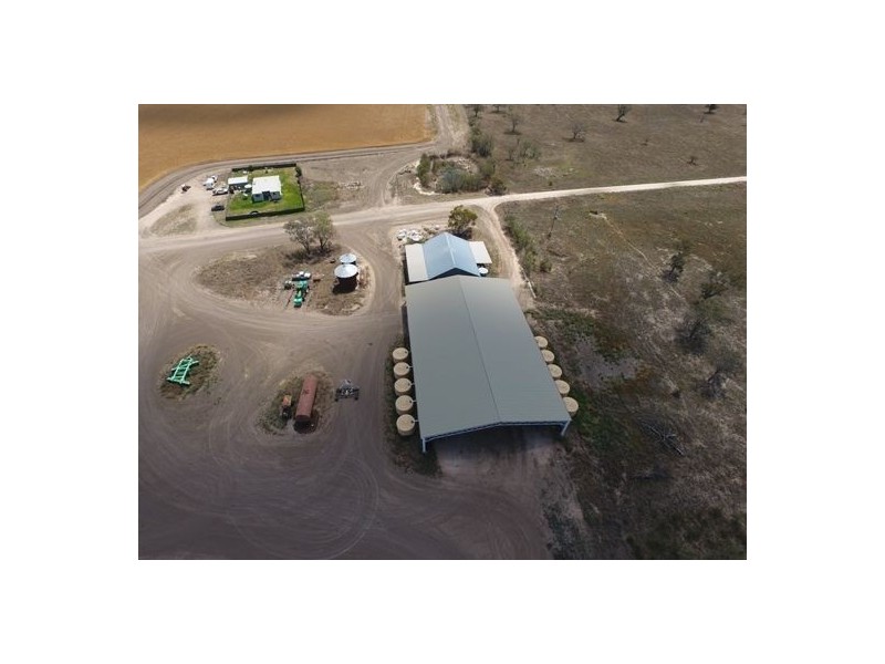 Crossdale, Walgett NSW 2832