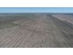 Congewoi, Walgett NSW 2832