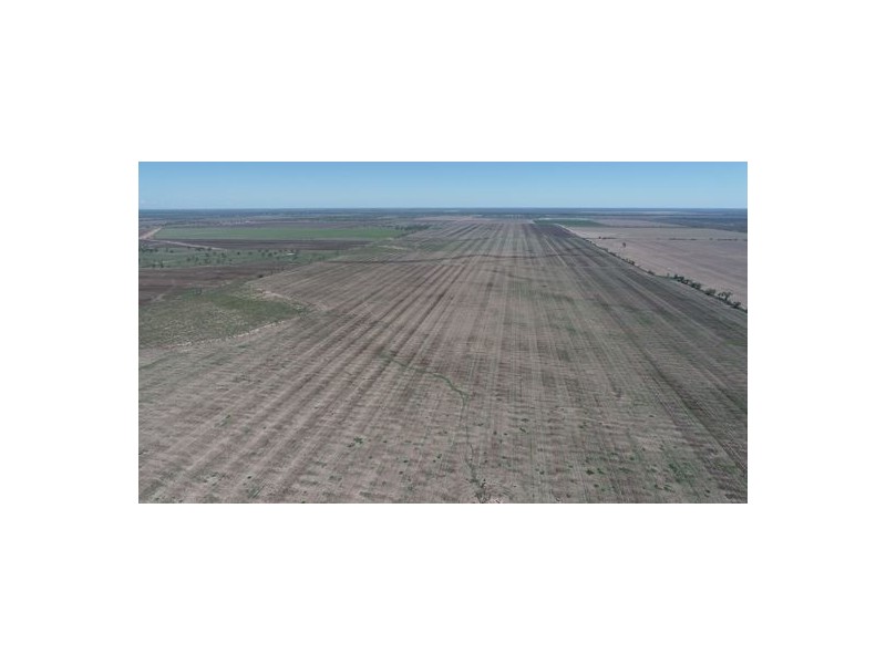 Congewoi, Walgett NSW 2832