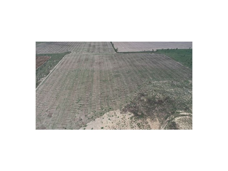 Congewoi, Walgett NSW 2832
