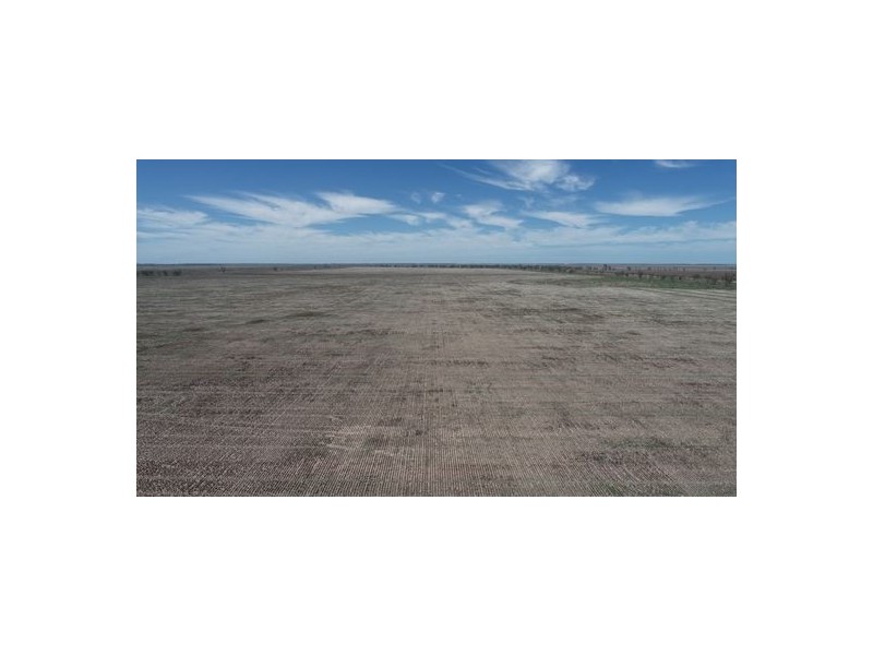 Congewoi, Walgett NSW 2832