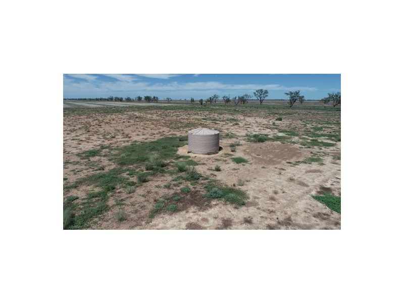 Congewoi, Walgett NSW 2832