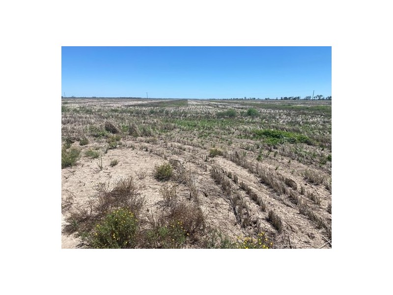 Congewoi, Walgett NSW 2832