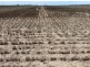 Congewoi, Walgett NSW 2832