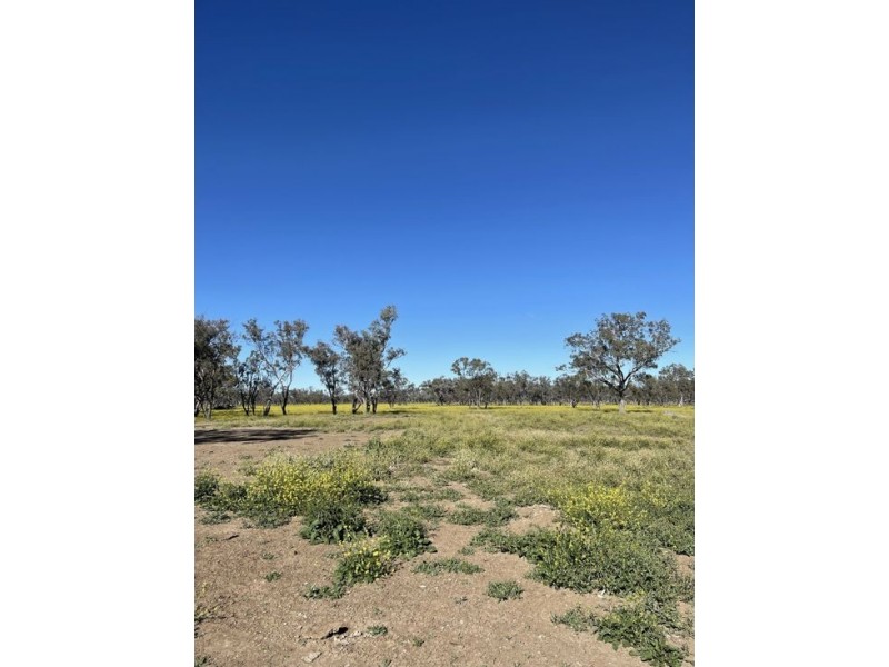 Lot 79 Come By Chance Road, Walgett NSW 2832