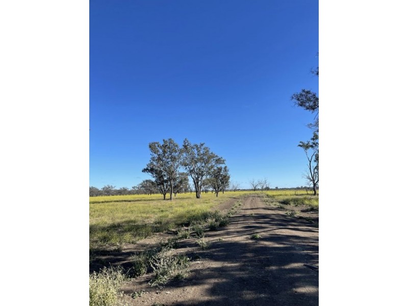 Lot 79 Come By Chance Road, Walgett NSW 2832