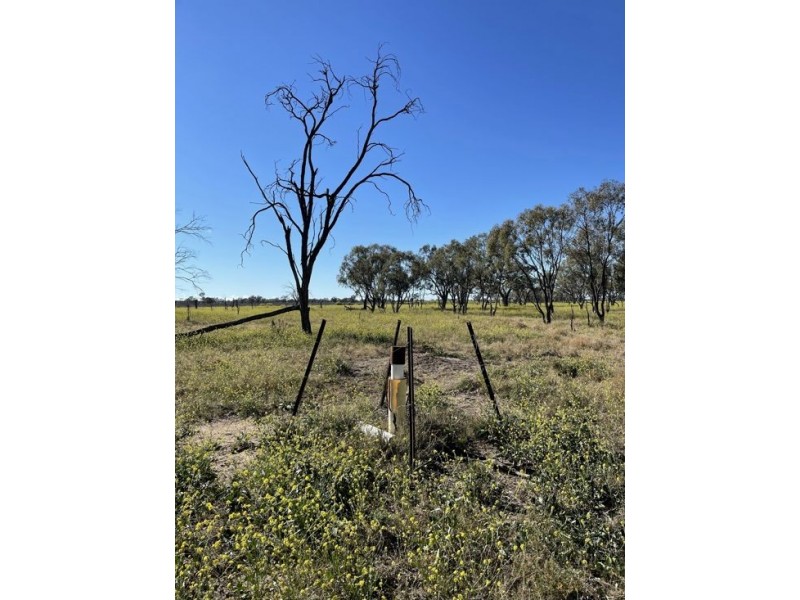 Lot 79 Come By Chance Road, Walgett NSW 2832