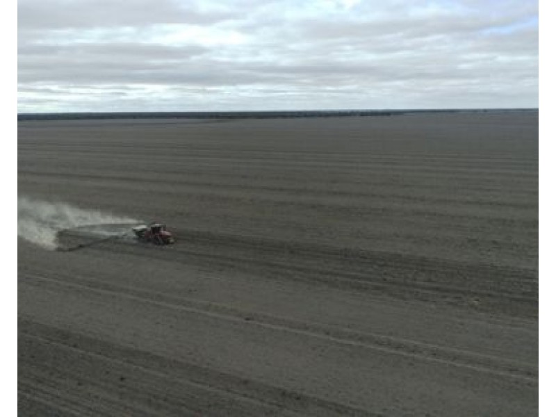 Elimatta, Walgett NSW 2832