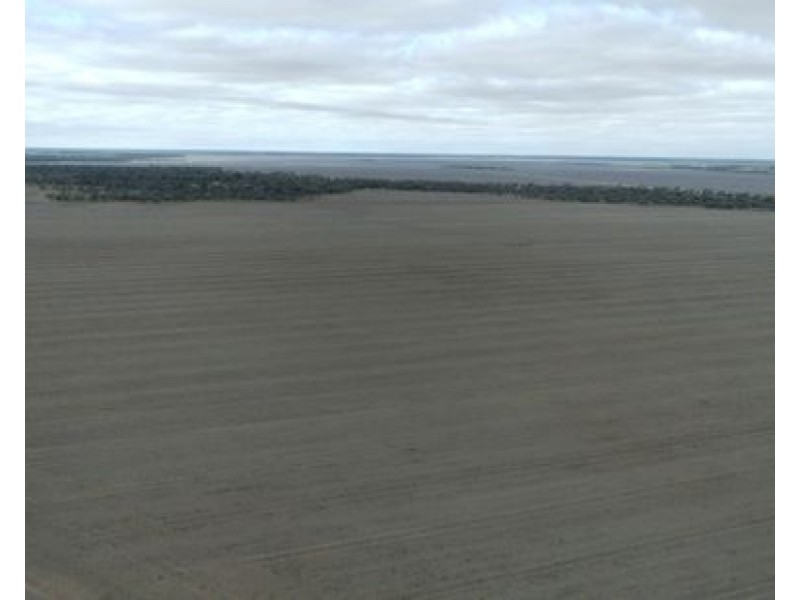 Elimatta, Walgett NSW 2832