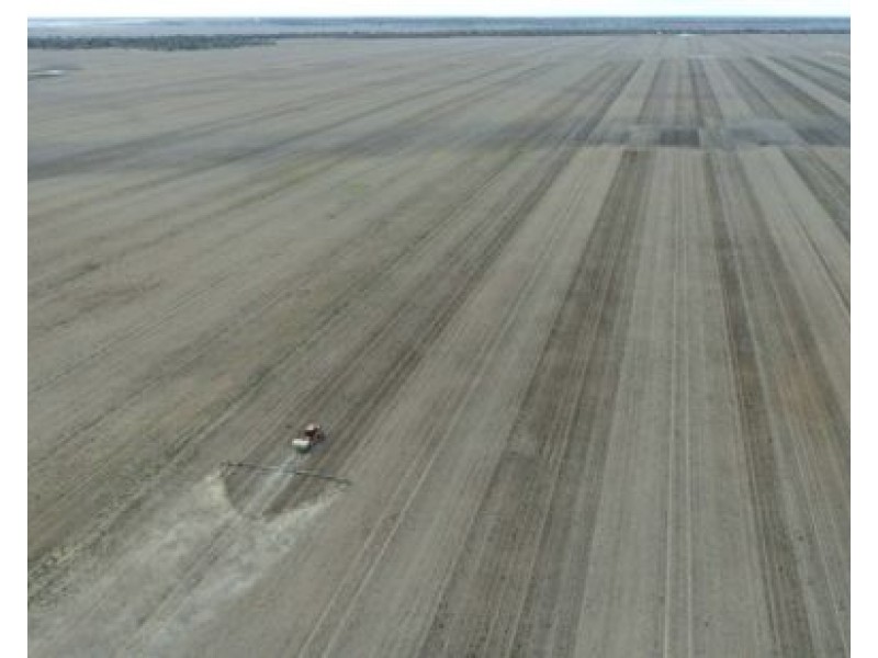 Elimatta, Walgett NSW 2832