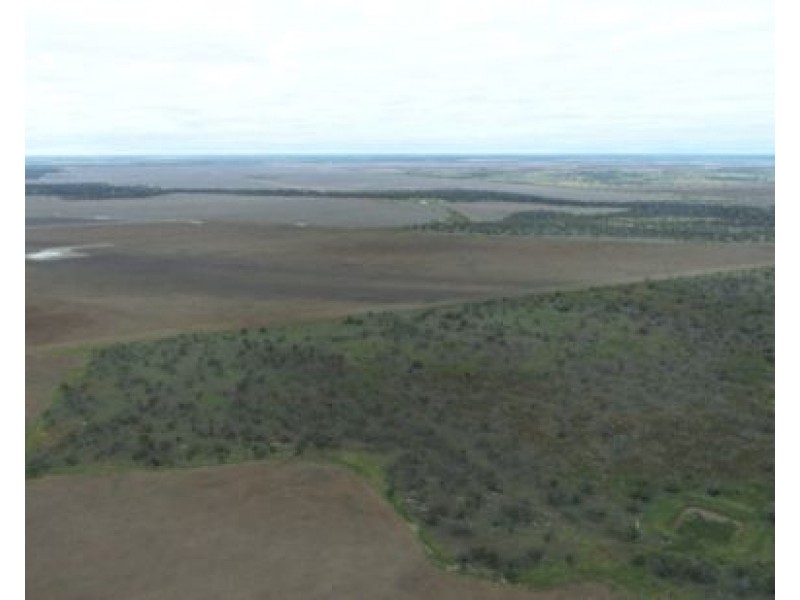 Elimatta, Walgett NSW 2832