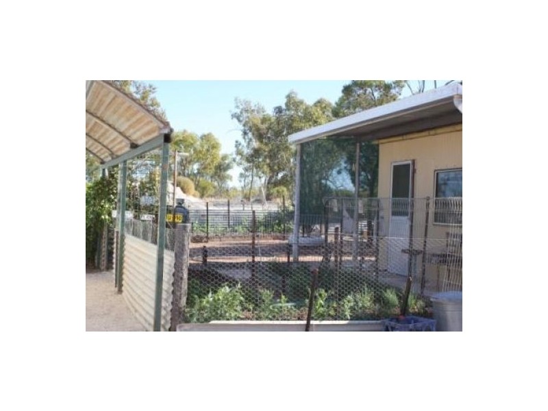 4 Mile Opal Field, Lightning Ridge NSW 2834