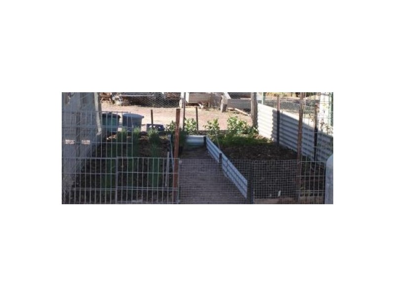 4 Mile Opal Field, Lightning Ridge NSW 2834