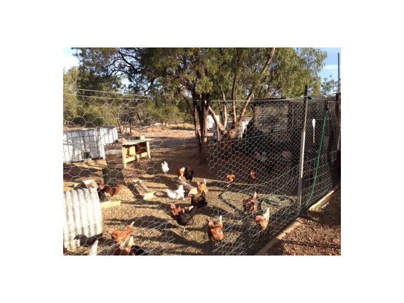 4 Mile Opal Field, Lightning Ridge NSW 2834