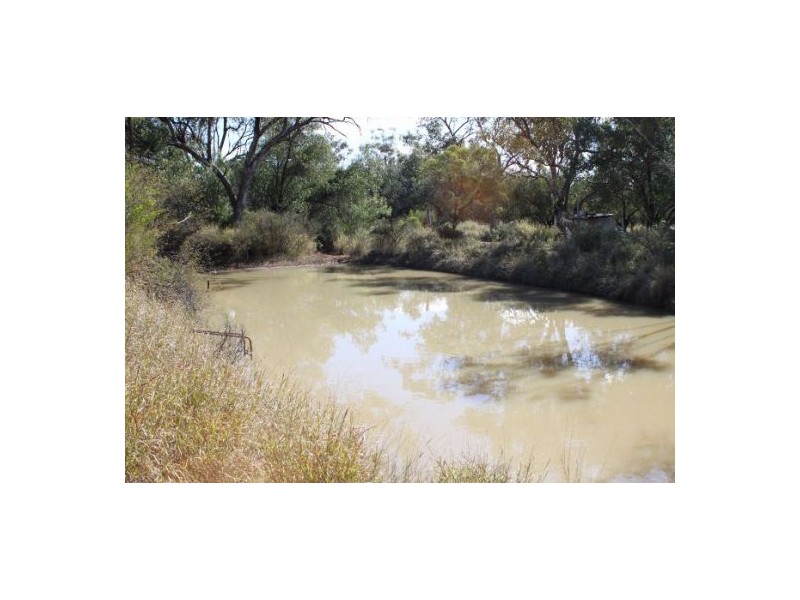 Nebia Hill, Lightning Ridge NSW 2834