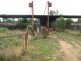 “Glenelvyn”, Lightning Ridge NSW 2834