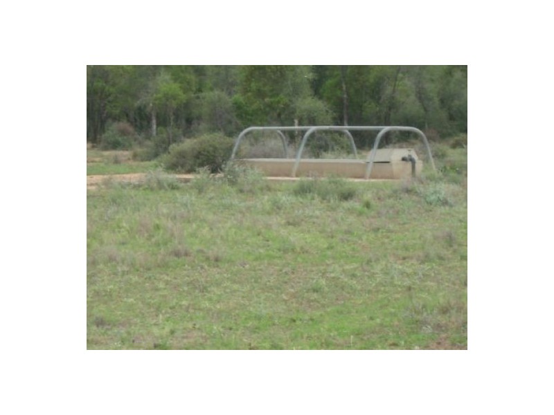 “Glenelvyn”, Lightning Ridge NSW 2834