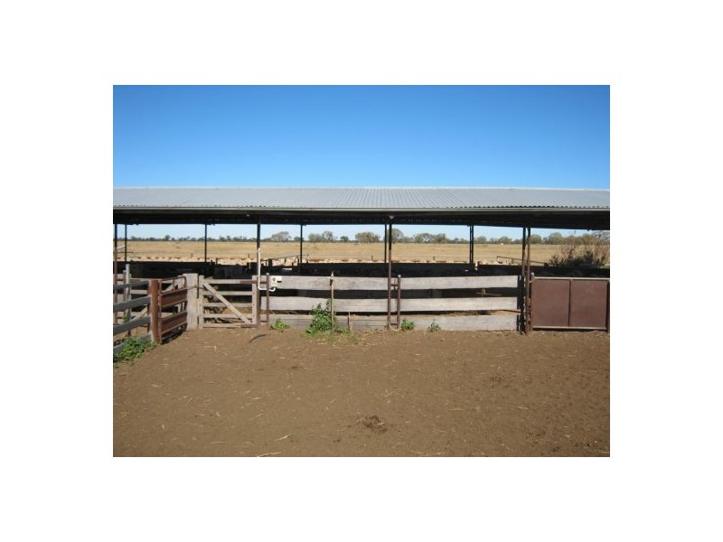 ‘Carwell Station’, Quambone NSW 2831