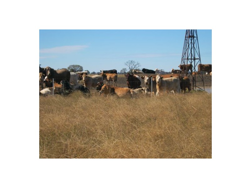 ‘Carwell Station’, Quambone NSW 2831