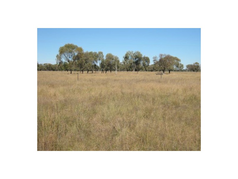 ‘Carwell Station’, Quambone NSW 2831