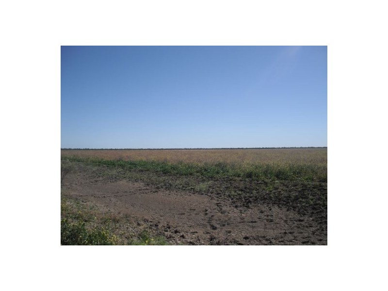 ‘Part Euralah’, Walgett NSW 2832