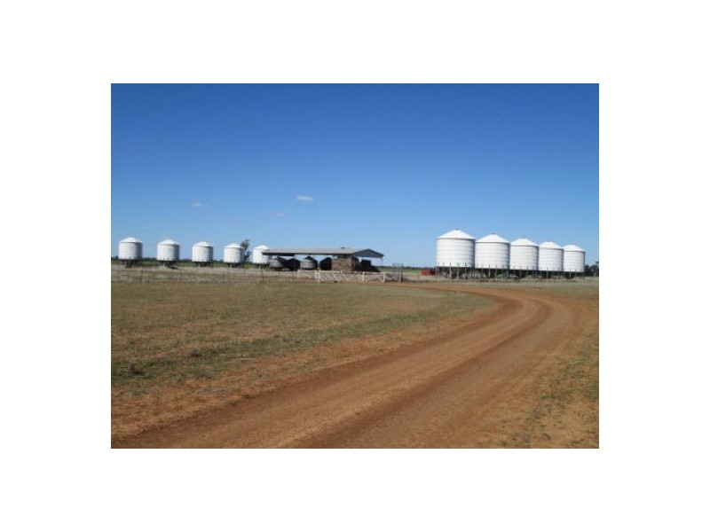 ” Calgary”, Collarenebri NSW 2833