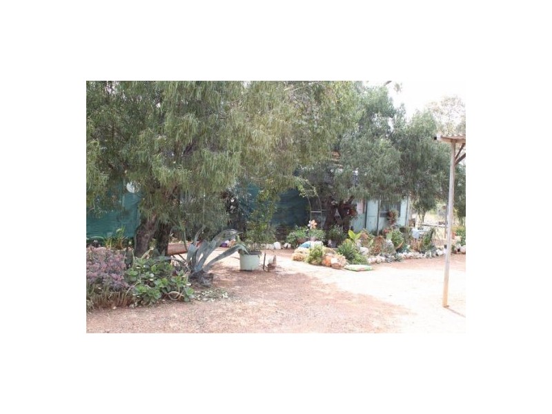 3 Mile Road, Lightning Ridge NSW 2834