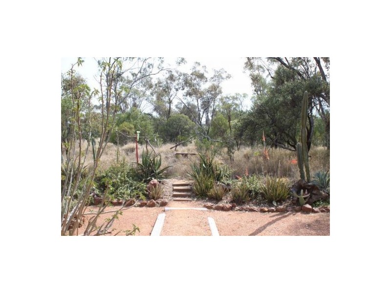 3 Mile Road, Lightning Ridge NSW 2834