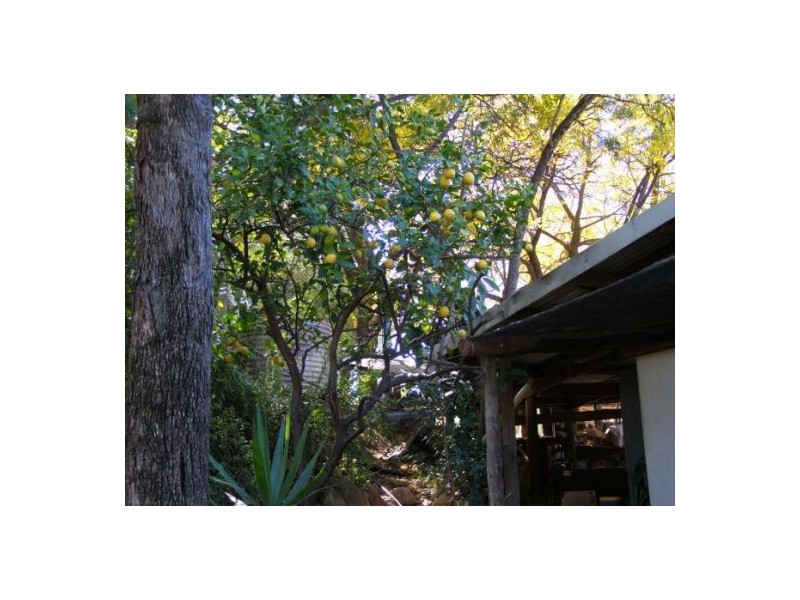 WLL14531 & 1453 Deep Belahs,, Lightning Ridge NSW 2834