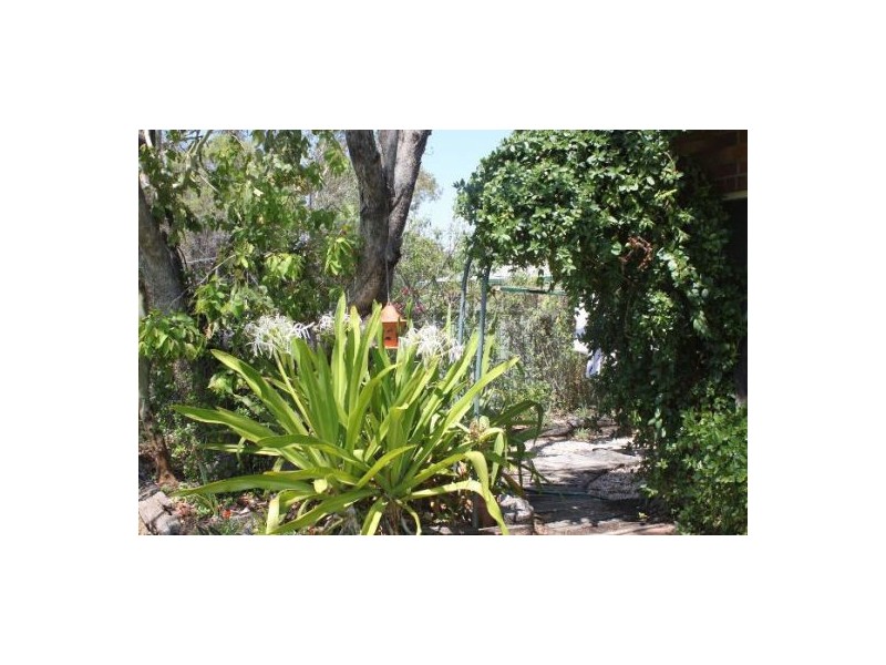 12 Black Prince Drive, Lightning Ridge NSW 2834