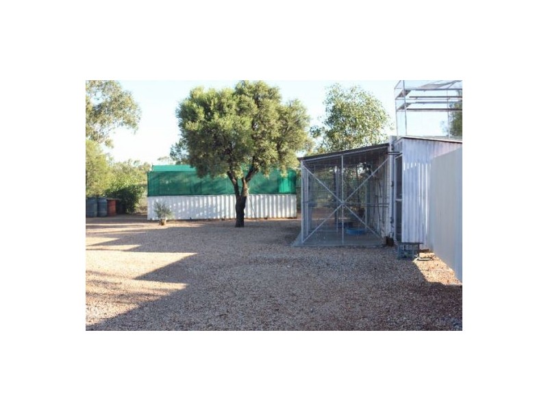 Canfells Opal Field, Lightning Ridge NSW 2834