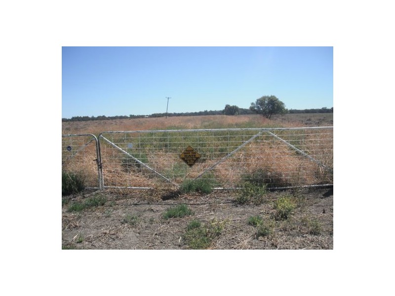 ” Kulleen”, Walgett NSW 2832