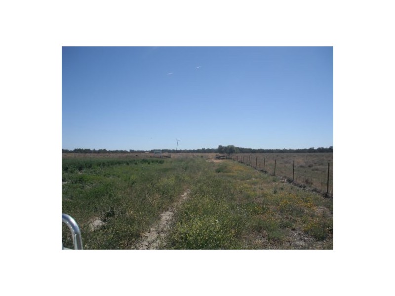 ” Kulleen”, Walgett NSW 2832