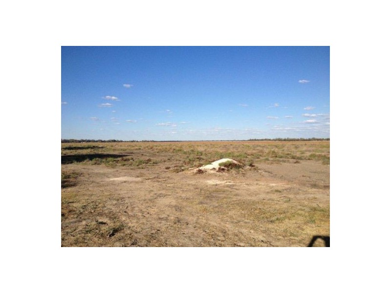 ” Kulleen”, Walgett NSW 2832
