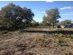 ” Kulleen”, Walgett NSW 2832