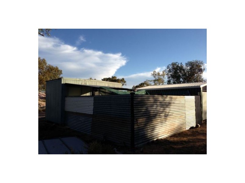 Western Lands Lease 389024, Lightning Ridge NSW 2834 Kelly's Property