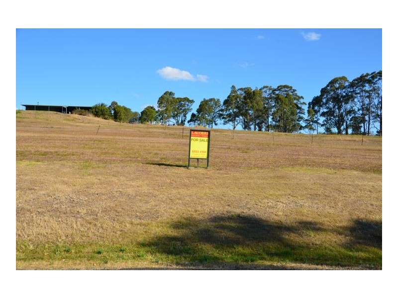 Lot 4 Mountview Avenue, Wingham NSW 2429