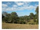 Wingham NSW 2429