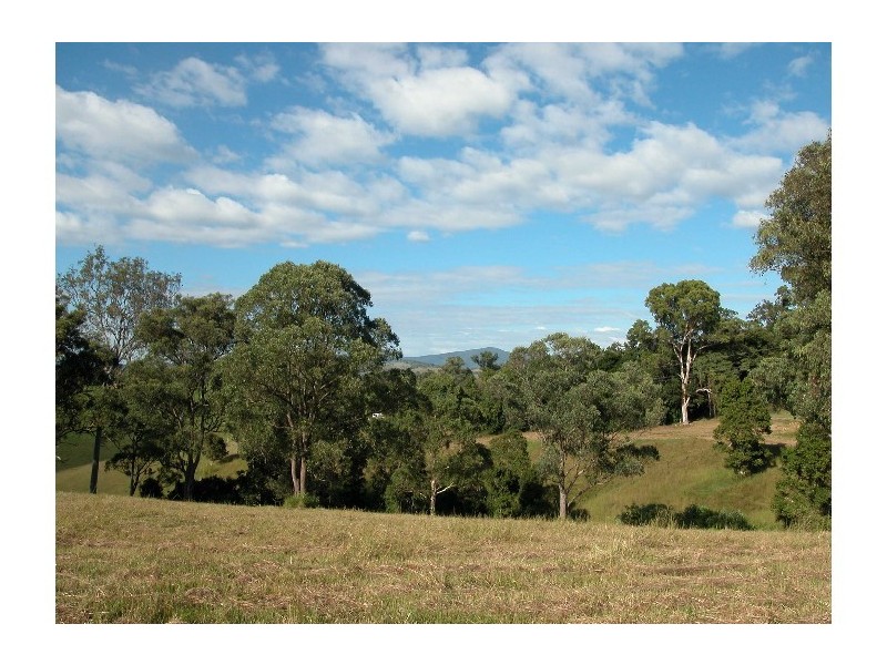 Wingham NSW 2429