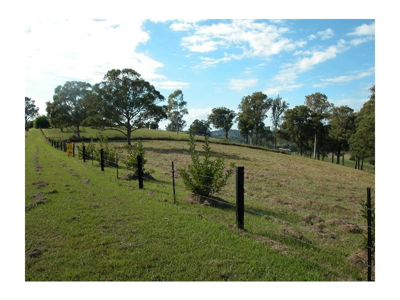 Wingham NSW 2429