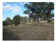 Wingham NSW 2429