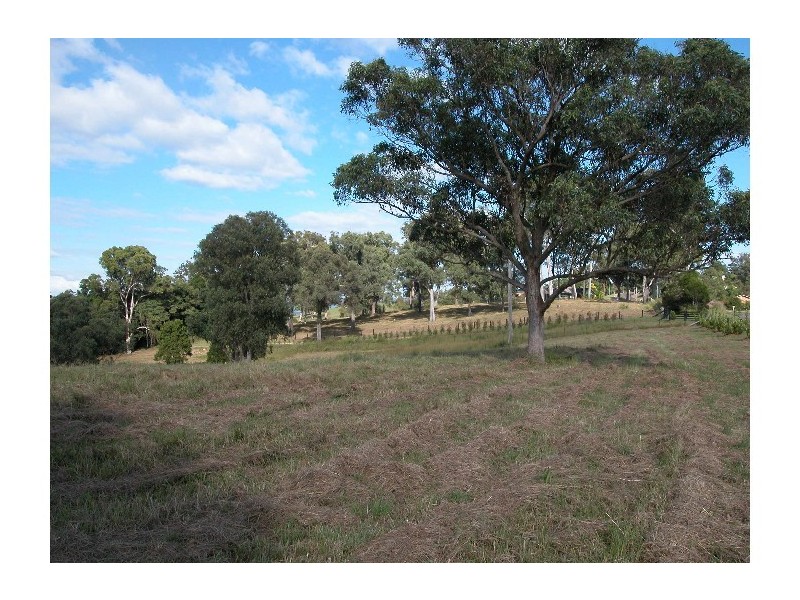 Wingham NSW 2429