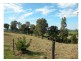 Wingham NSW 2429